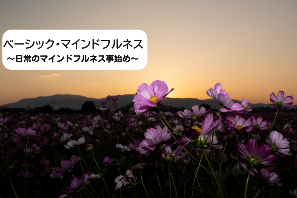 ベーシック・マインドフルネス 〜日常のマインドフルネス事始め〜参加者募集開始